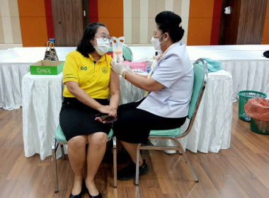 การให้บริการฉีดวัคซีนป้องกันโรคไข้หวัดใหญ่ตามฤดูกาล พารามิเตอร์รูปภาพ 3