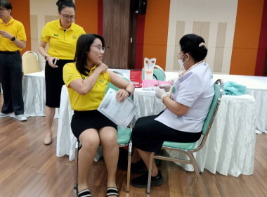 การให้บริการฉีดวัคซีนป้องกันโรคไข้หวัดใหญ่ตามฤดูกาล พารามิเตอร์รูปภาพ 8