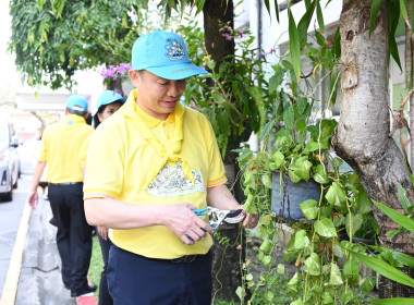 วันรักต้นไม้ประจำปีของชาติ พ.ศ. 2568 พารามิเตอร์รูปภาพ 33