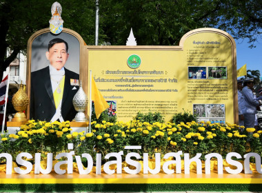 พิธีถวายสัตย์ปฏิญาณเพื่อเป็นข้าราชการที่ดีและพลังของแผ่นดิน พารามิเตอร์รูปภาพ 6